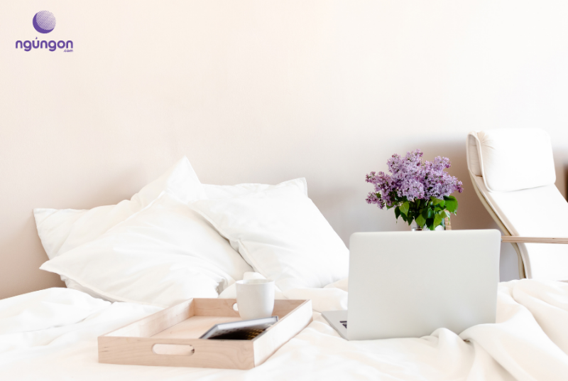Vị trí tốt và xấu để đặt bình hoa hồng tươi lâu trong nhà